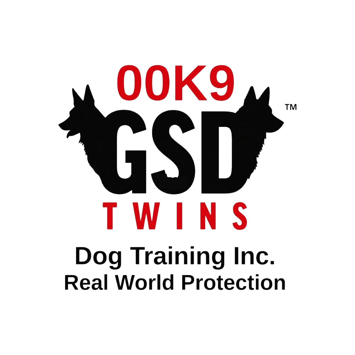 GSD Twins Dog Training